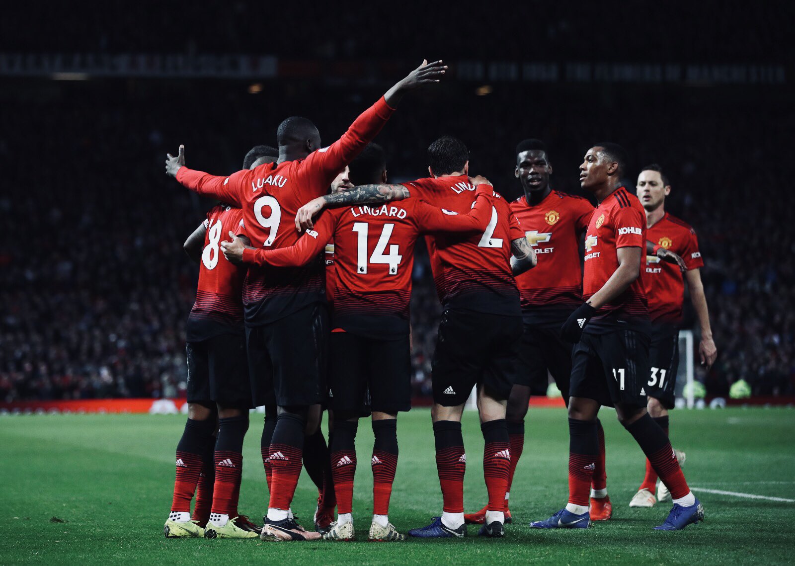 了属于自己 了属于自己