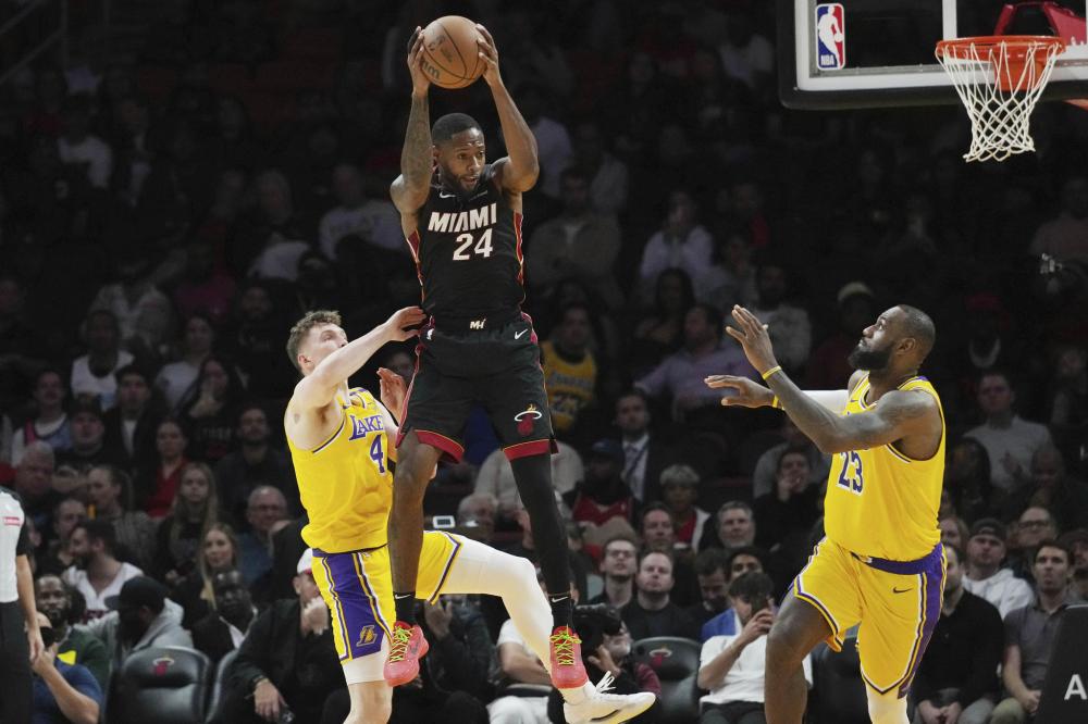 椰树之巅 椰树之巅